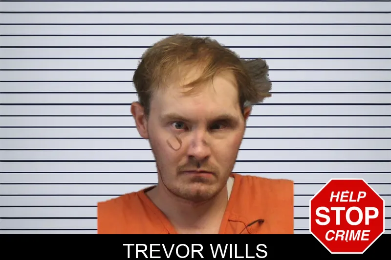 Trevor Wills mugshot