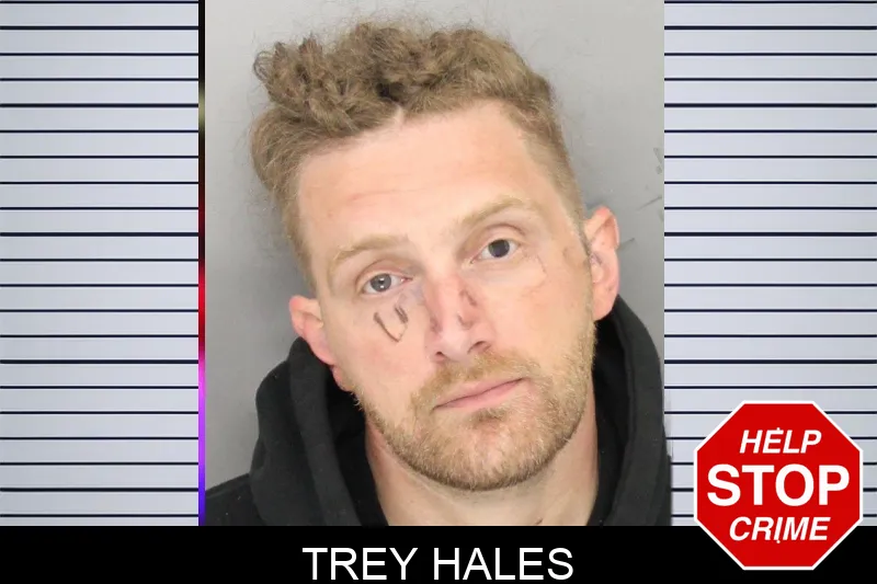 Trey Hales mugshot – Cobb County , Georgia Trey Hales mugshot
