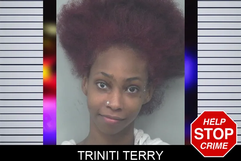 Triniti Terry mugshot – Gwinnett County , Georgia Triniti Terry mugshot