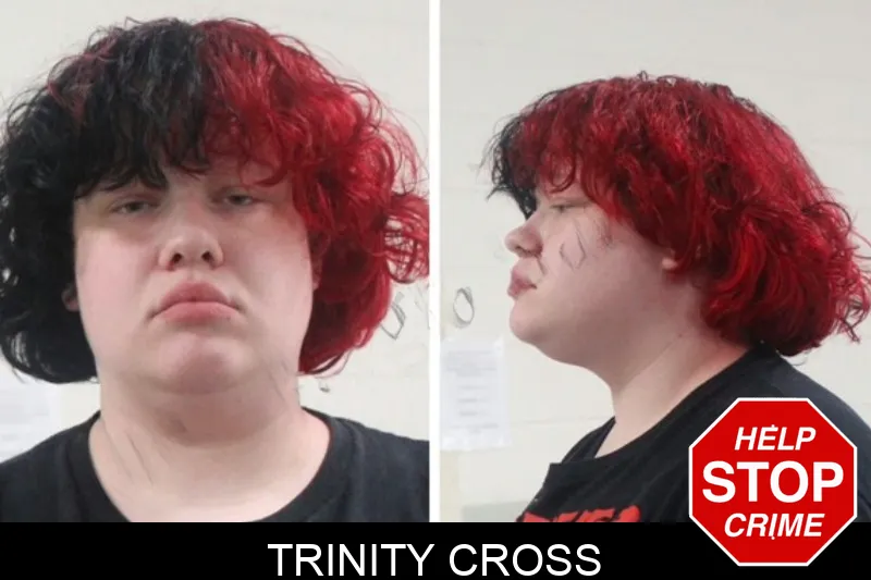 Trinity Cross mugshot – Houston County , Georgia Trinity Cross mugshot