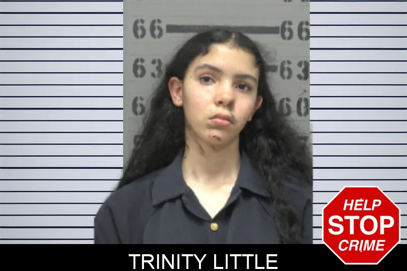 Trinity Little mugshot – Dougherty County , Georgia Trinity Little mugshot