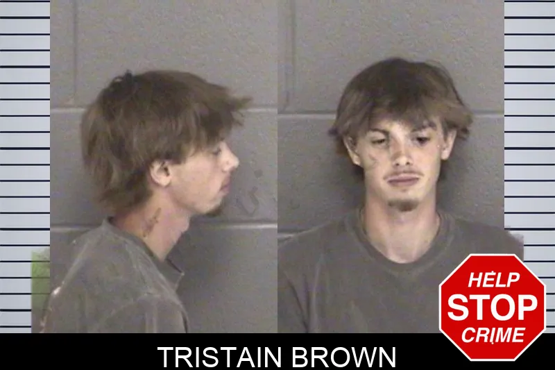 Tristain Brown mugshot