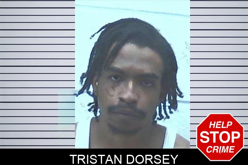 Tristan Dorsey mugshot – Jackson County , Georgia Tristan Dorsey mugshot
