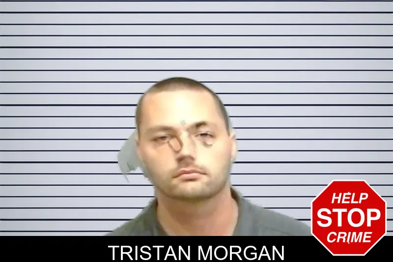 Tristan Morgan mugshot