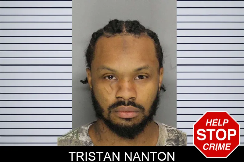 Tristan Nanton mugshot