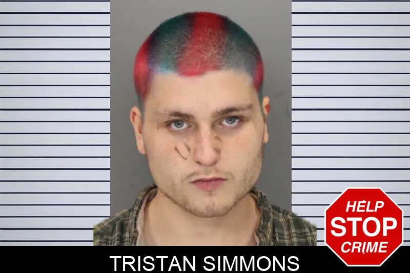 Tristan Simmons mugshot