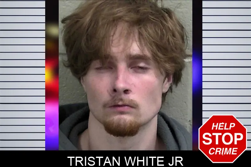 Tristan White Jr mugshot