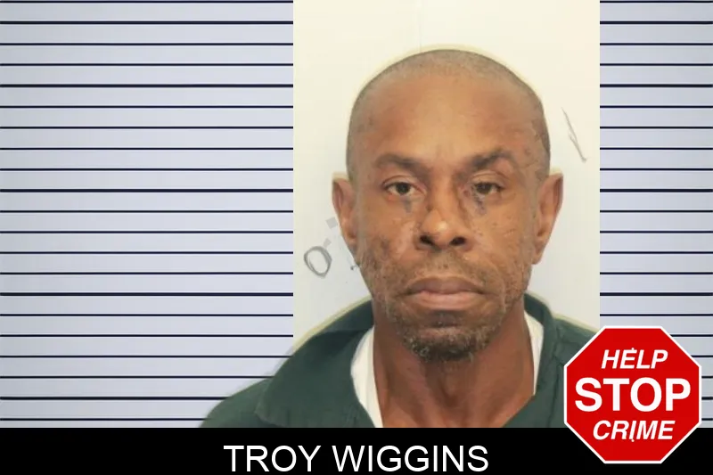 Troy Wiggins mugshot – Chatham County , Georgia Troy Wiggins mugshot
