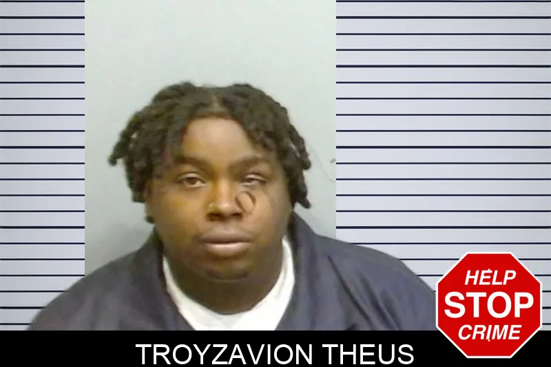 Troyzavion Theus mugshot