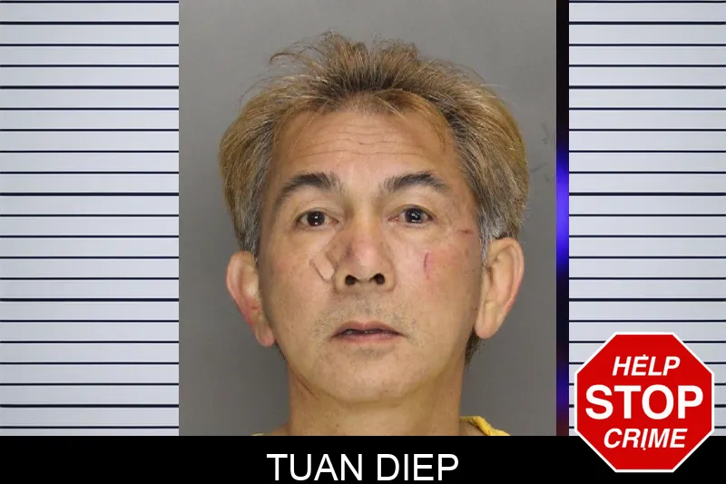 Tuan Diep mugshot
