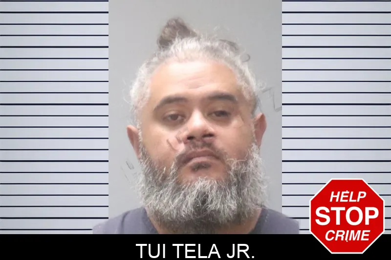 Tui Tela Jr. mugshot