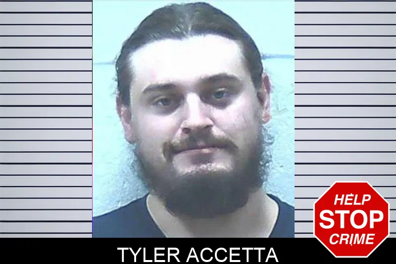 Tyler Accetta mugshot