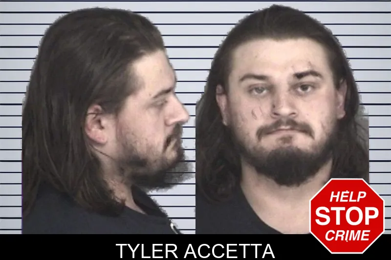 Tyler Accetta mugshot