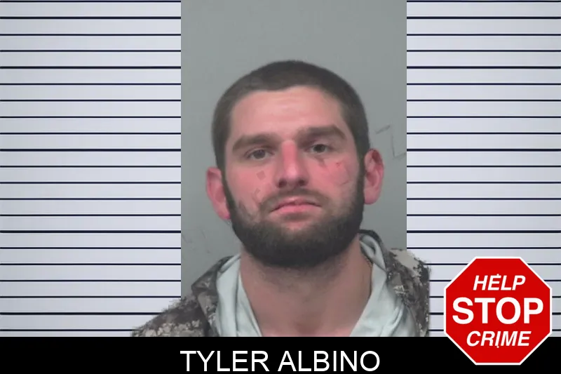 Tyler Albino mugshot