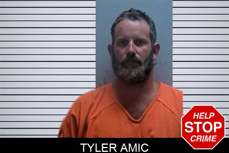Tyler Amic mugshot