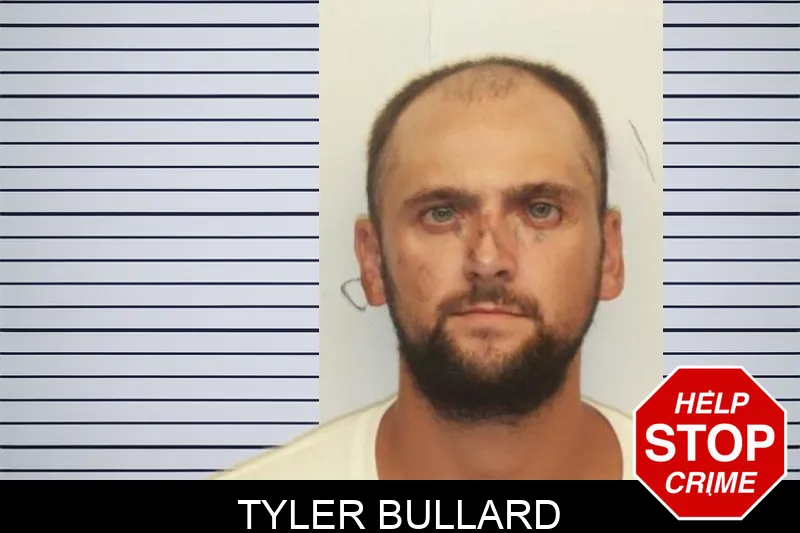 Tyler Bullard mugshot – Chatham County , Georgia Tyler Bullard mugshot