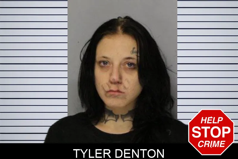 Tyler Denton mugshot – Hall County , Georgia Tyler Denton mugshot
