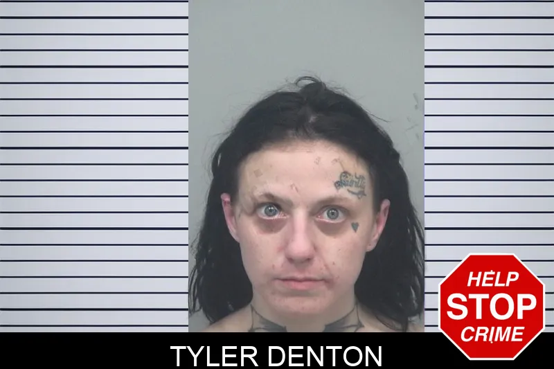 Tyler Denton mugshot – Gwinnett County , Georgia Tyler Denton mugshot