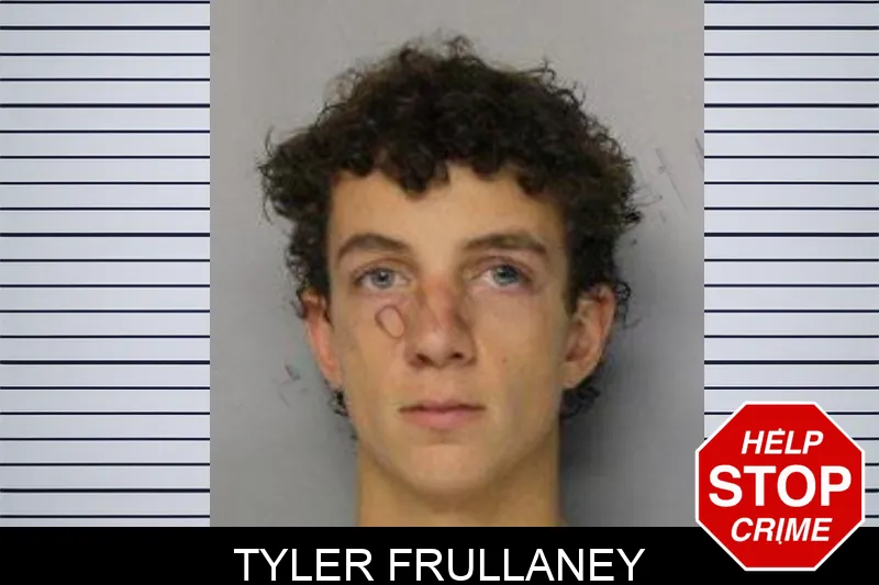 Tyler Frullaney mugshot – Hall County , Georgia Tyler Frullaney mugshot