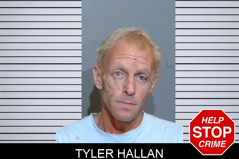 Tyler Hallan mugshot – Glynn County , Georgia Tyler Hallan mugshot