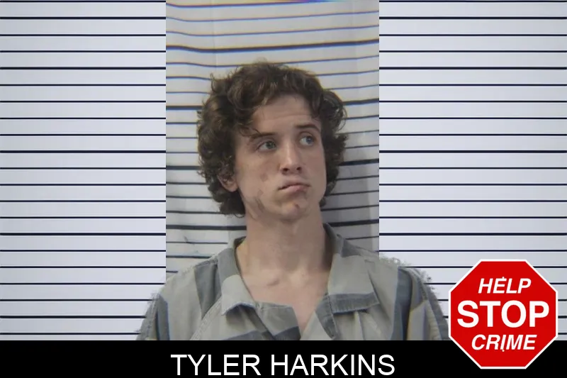 Tyler Harkins mugshot