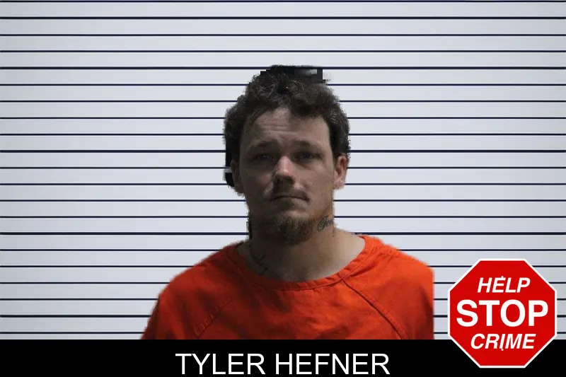 Tyler Hefner mugshot – Murray County , Georgia Tyler Hefner mugshot