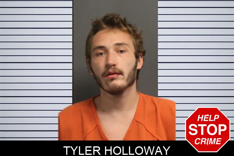 Tyler Holloway mugshot