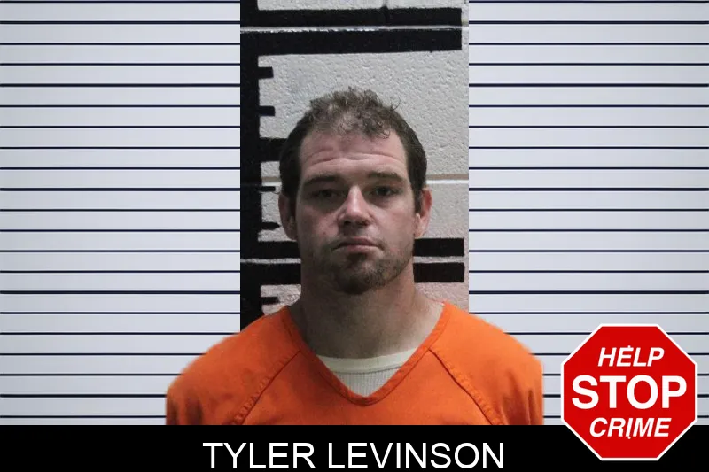 Tyler Levinson mugshot – Murray County , Georgia Tyler Levinson mugshot