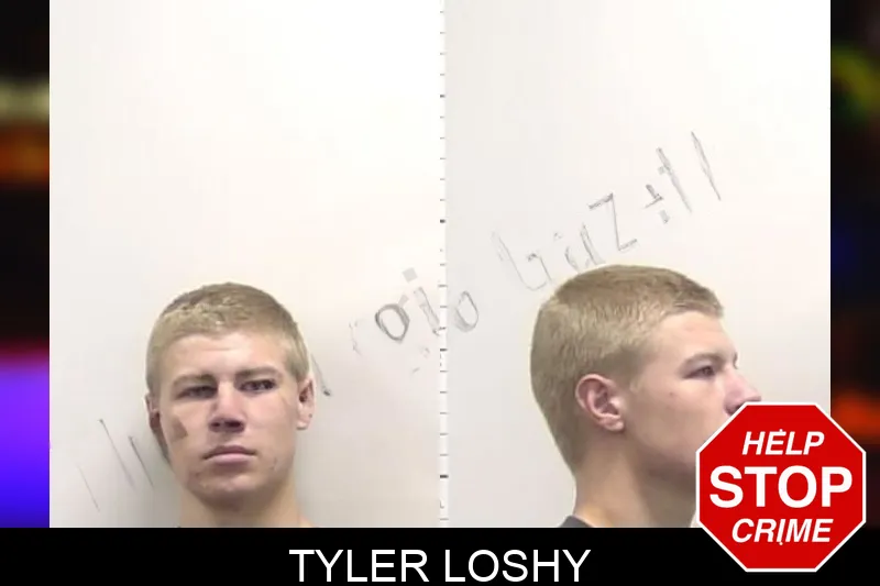Tyler Loshy mugshot – Clarke County , Georgia Tyler Loshy mugshot