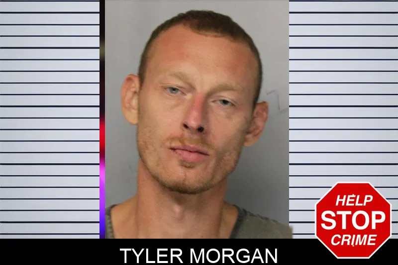 Tyler Morgan mugshot – Hall County , Georgia Tyler Morgan mugshot