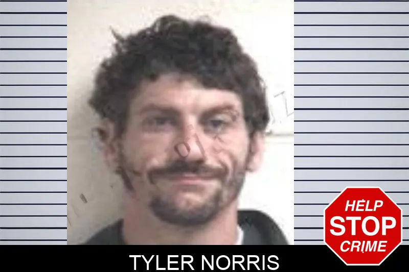 Tyler Norris mugshot