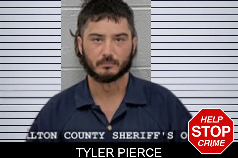 Tyler Pierce mugshot