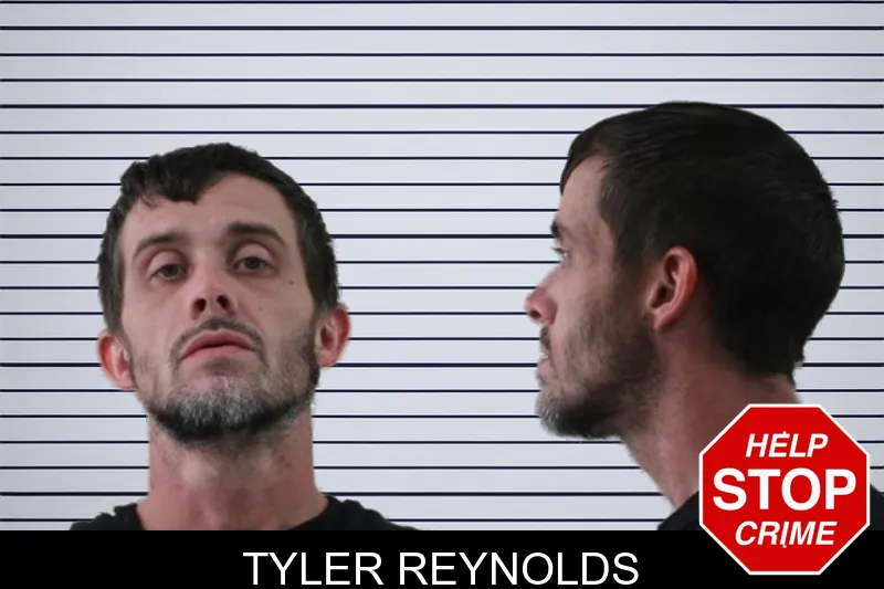 Tyler Reynolds mugshot