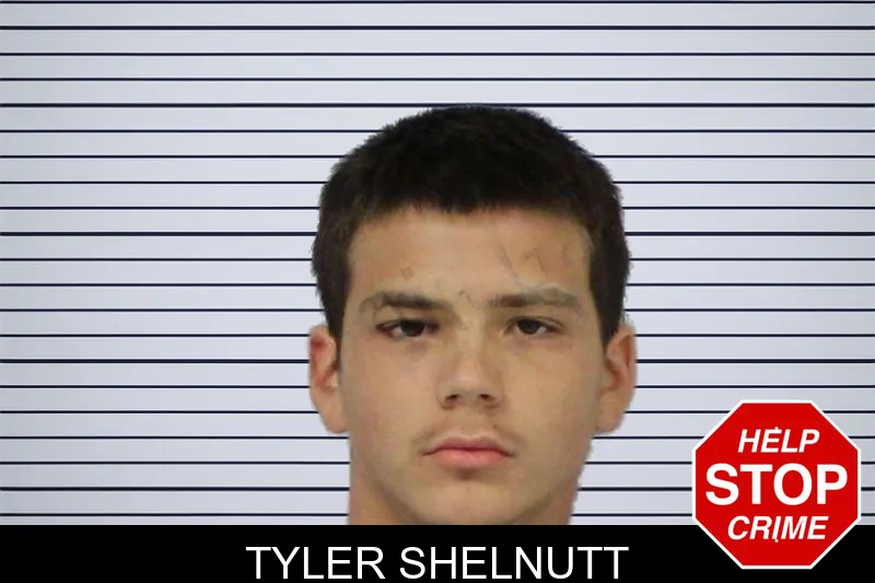 Tyler Shelnutt mugshot