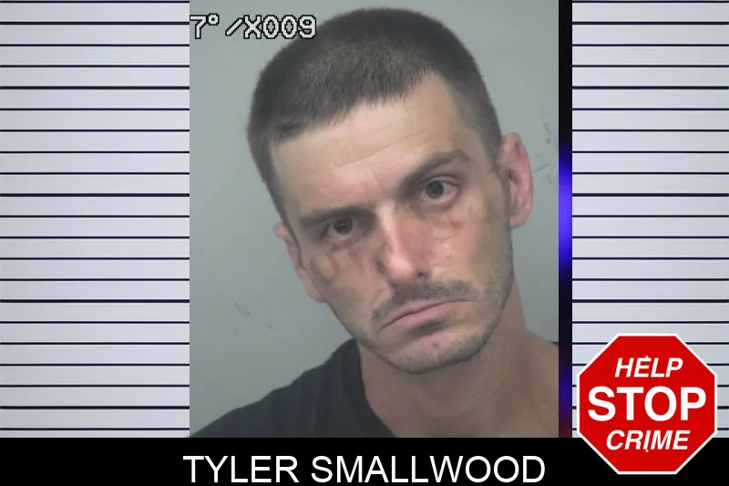 Tyler Smallwood mugshot