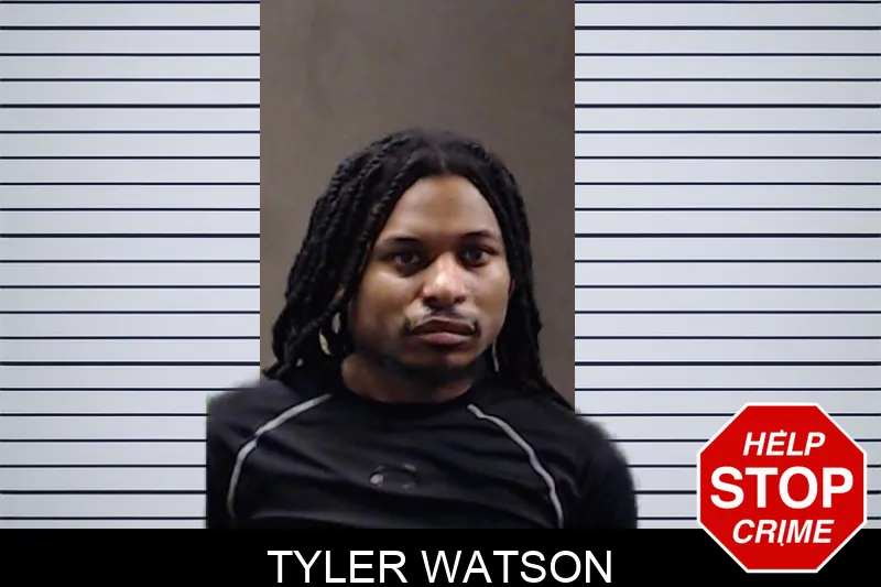 Tyler Watson mugshot