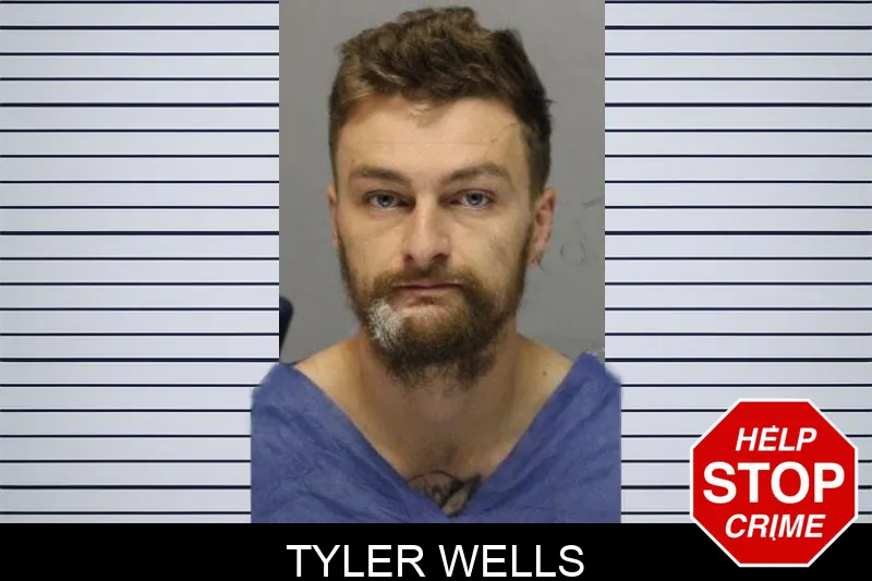 Tyler Wells mugshot