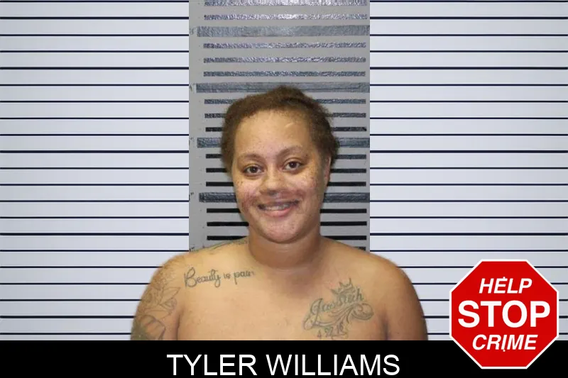Tyler Williams mugshot