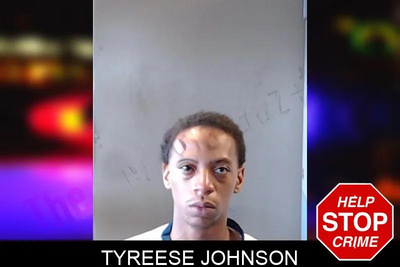 Tyreese Johnson mugshot
