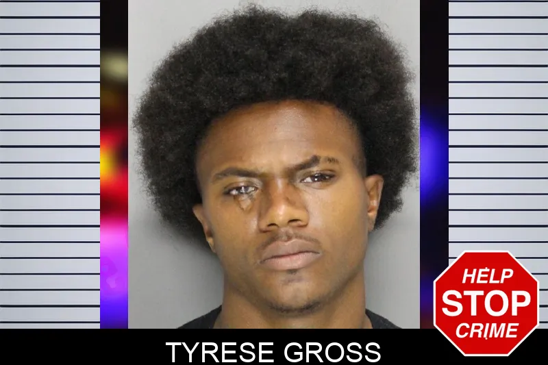 Tyrese Gross mugshot