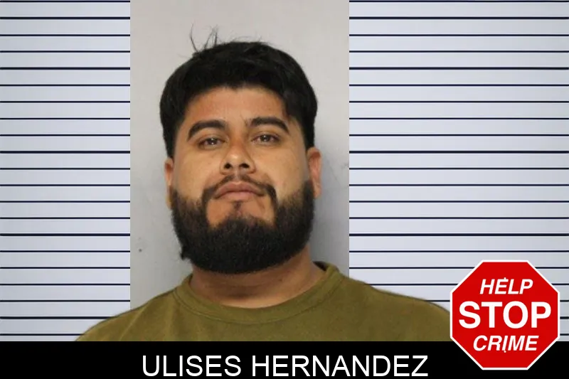 Ulises Hernandez mugshot