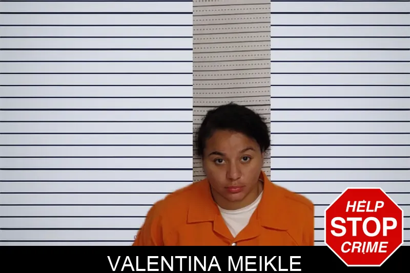 Valentina Meikle mugshot – Rockdale County , Georgia Valentina Meikle mugshot
