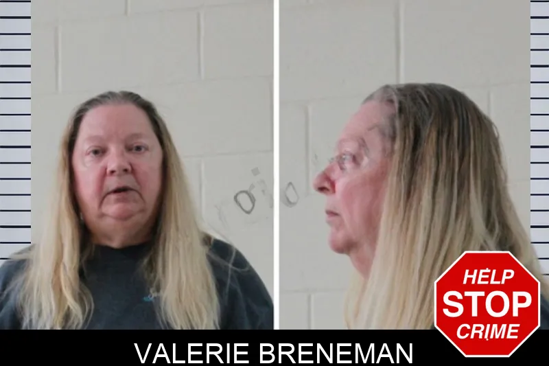 Valerie Breneman mugshot – Houston County , Georgia Valerie Breneman mugshot