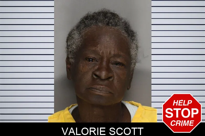 Valorie Scott mugshot