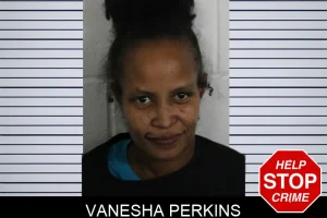 Vanesha Perkins mugshot
