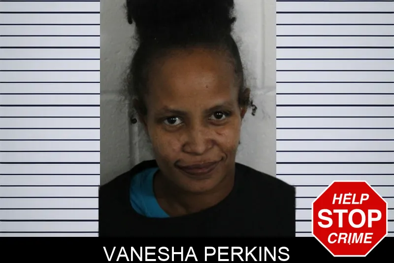Vanesha Perkins mugshot