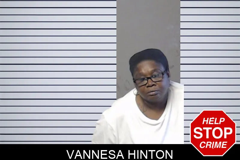 Vannesa Hinton mugshot