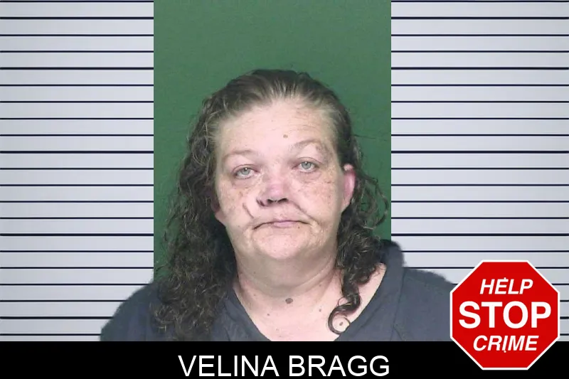 Velina Bragg mugshot
