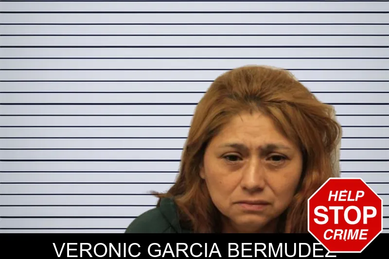 Veronic Garcia Bermudez mugshot