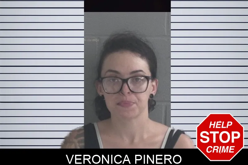 Veronica Pinero mugshot – Brantley County , Georgia Veronica Pinero mugshot